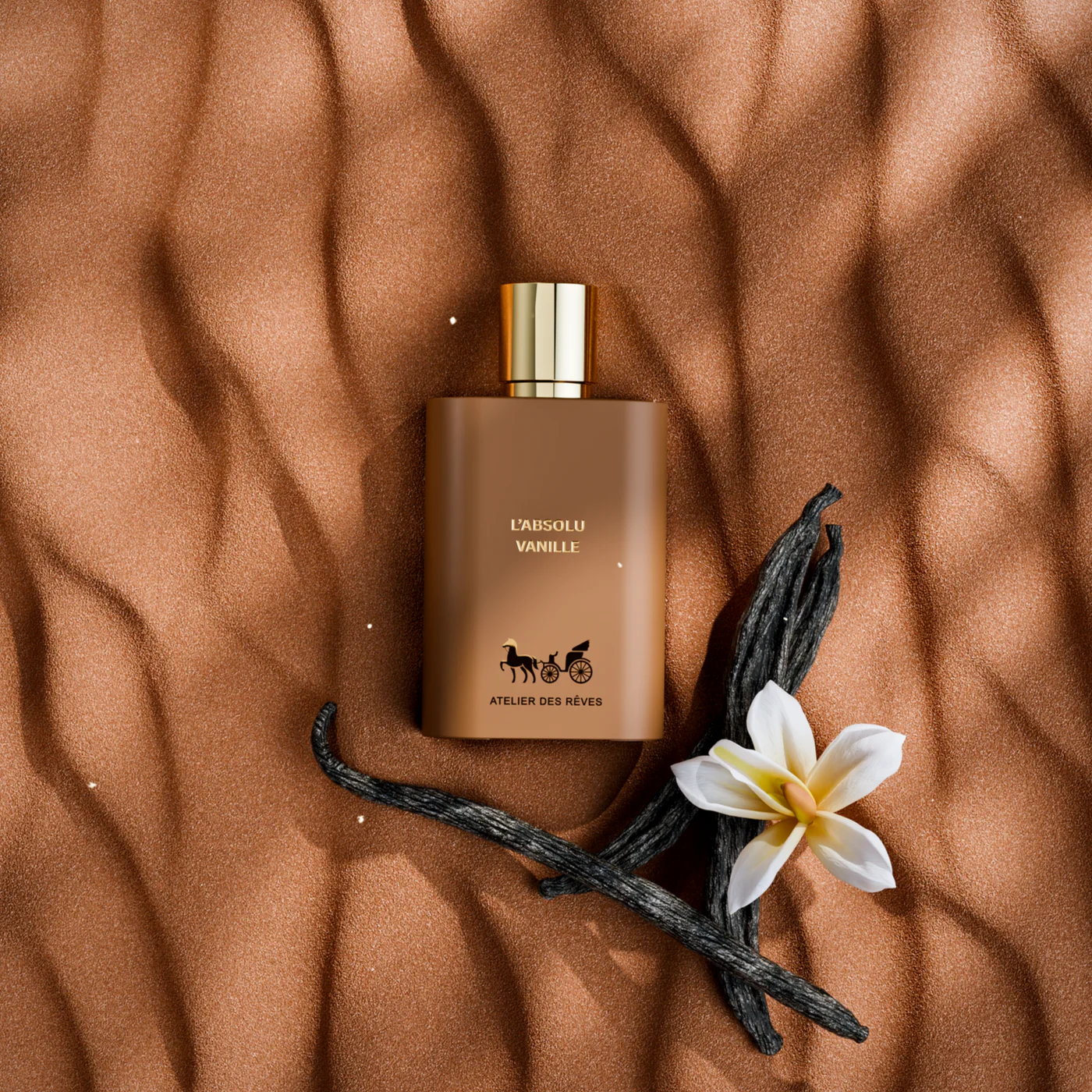 Your Olfactory Universe Awaits